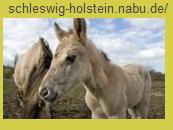  Schleswig-Holstein.Nabu